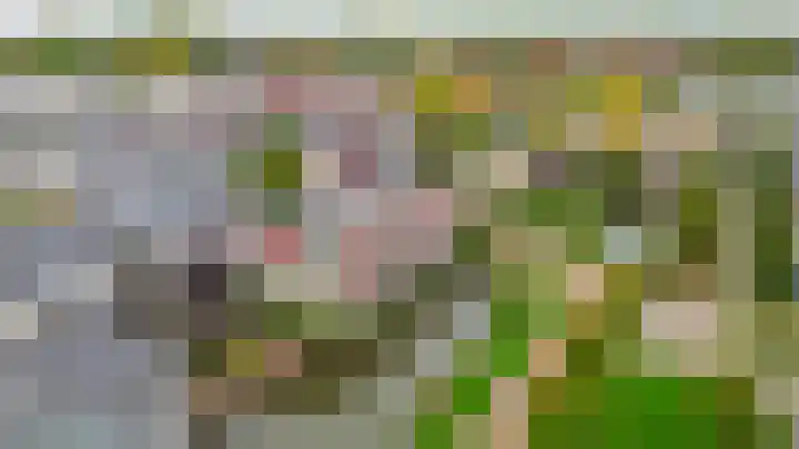 Stoelendans 92 Capelle aan den IJssel thumbnail 5