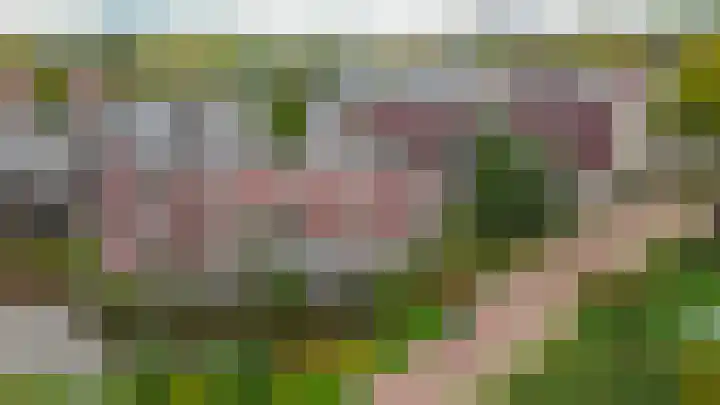 Stoelendans 92 Capelle aan den IJssel thumbnail 55