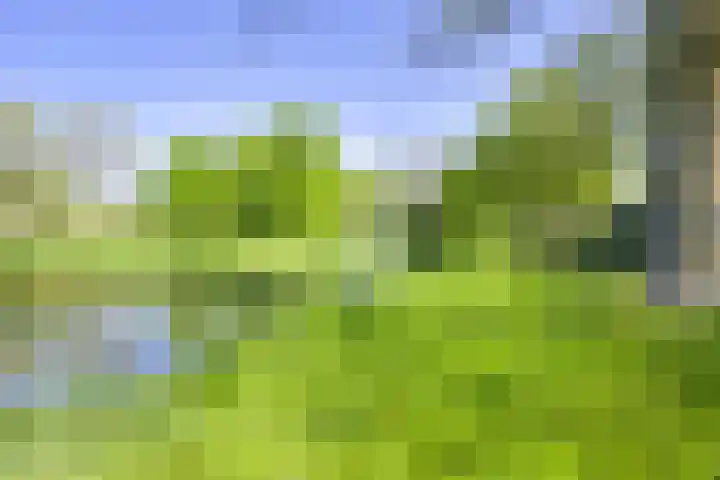 Stoelenmakerslaan 28 A De Meern thumbnail 43