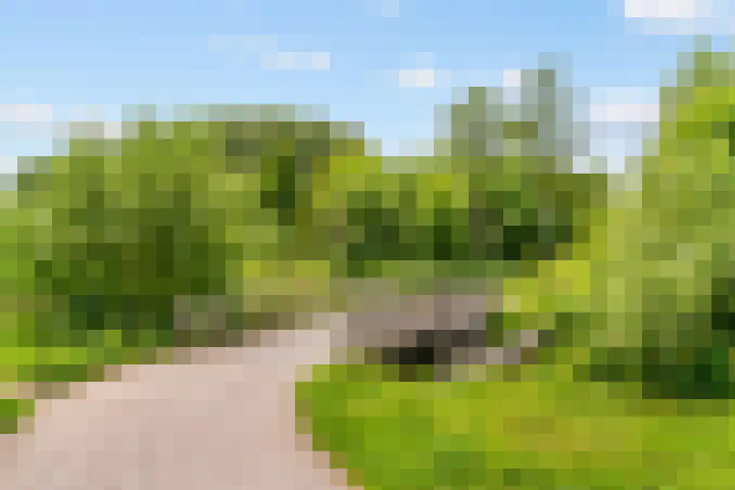 Stoelenmakerslaan 30 De Meern thumbnail 45