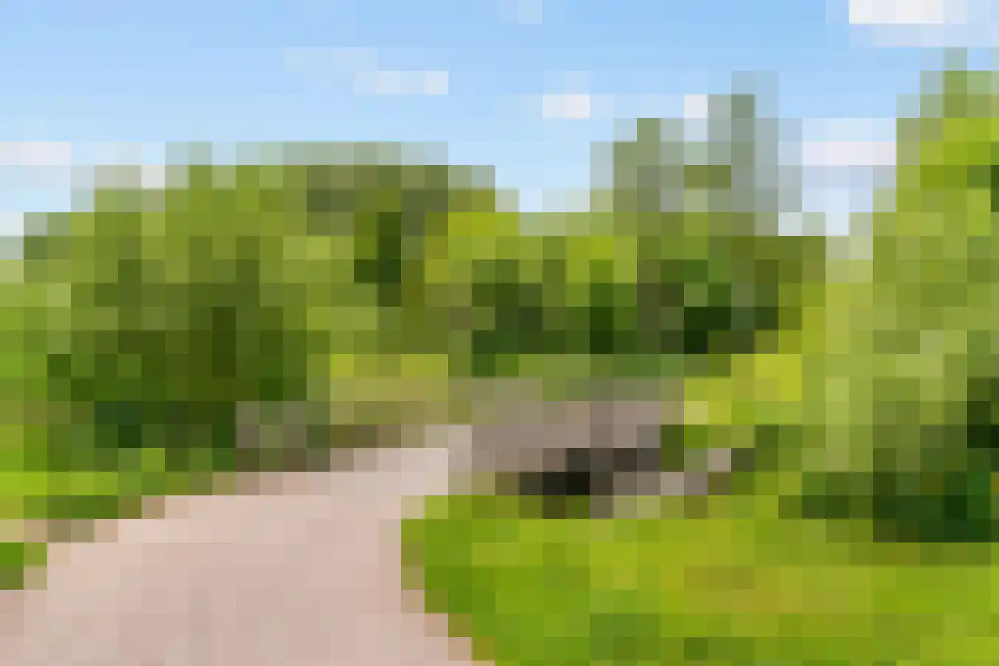Stoelenmakerslaan 30 De Meern thumbnail 46