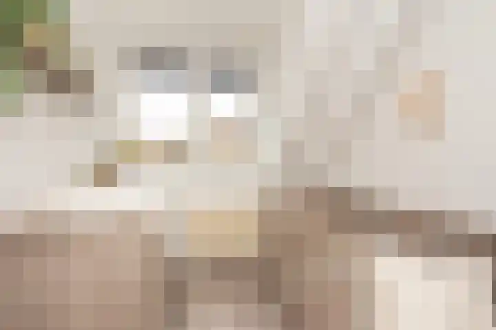 Stoelenmakerslaan 36 De Meern thumbnail 30