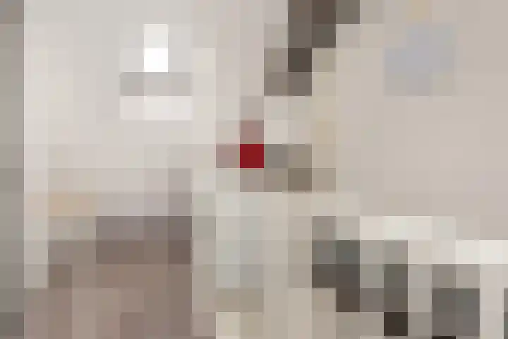 Stoelenmakerslaan 36 De Meern thumbnail 39