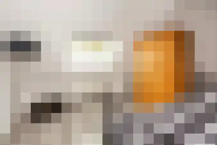 Stoelenmakerslaan 36 De Meern thumbnail 41
