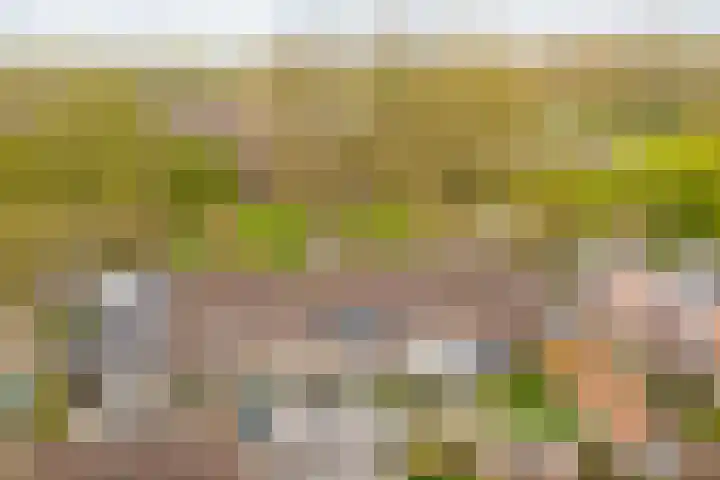 Stoelenmakerslaan 36 De Meern thumbnail 47