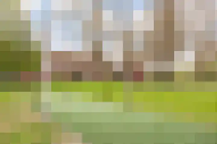 Stoelenmakerslaan 36 De Meern thumbnail 49