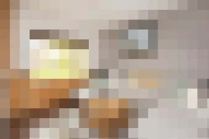 Stoelenmakerslaan 36 De Meern thumbnail 5