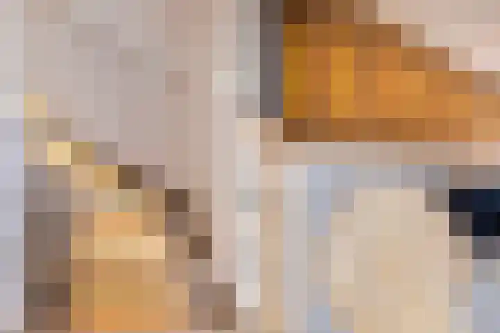 Stoelenmatter 25 Hendrik-Ido-Ambacht thumbnail 26