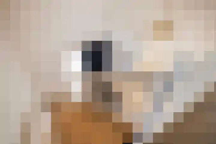 Stoelenmatter 25 Hendrik-Ido-Ambacht thumbnail 27