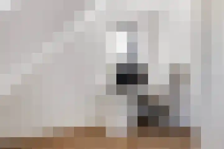 Stoelenmatter 25 Hendrik-Ido-Ambacht thumbnail 33