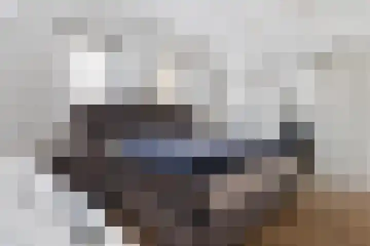 Stoelenmatter 25 Hendrik-Ido-Ambacht thumbnail 35