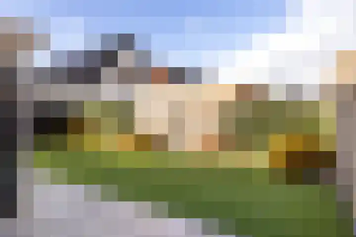 Stoelenmatter 25 Hendrik-Ido-Ambacht thumbnail 41
