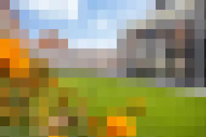 Stoelenmatter 25 Hendrik-Ido-Ambacht thumbnail 42