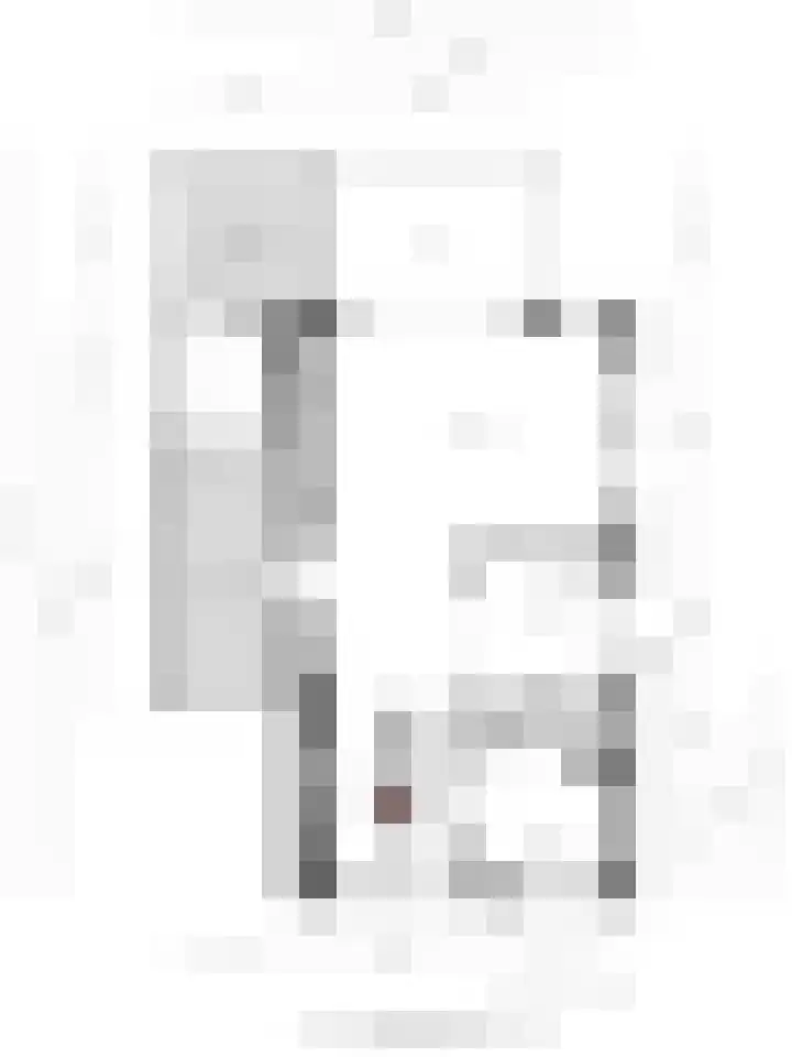 Stoelenmatter 25 Hendrik-Ido-Ambacht thumbnail 44