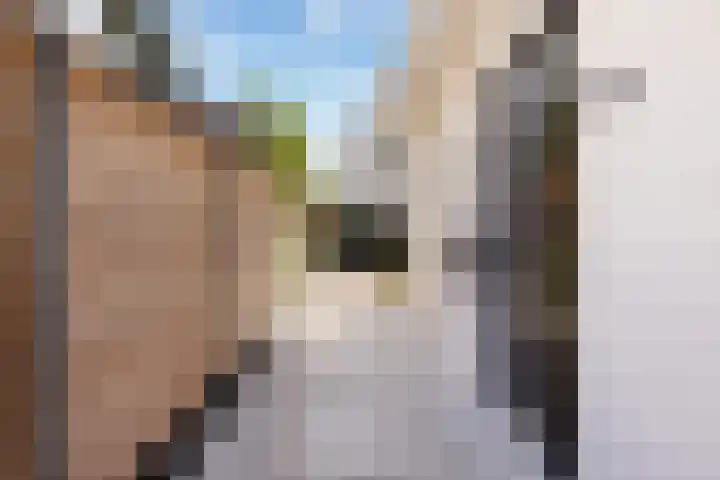 Stoelenmatter 25 Hendrik-Ido-Ambacht thumbnail 7