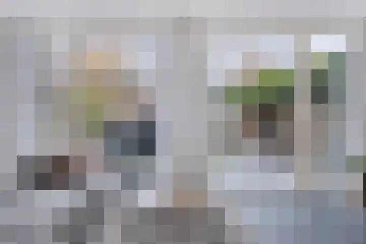 Stoelenmatter 64 Best thumbnail 13