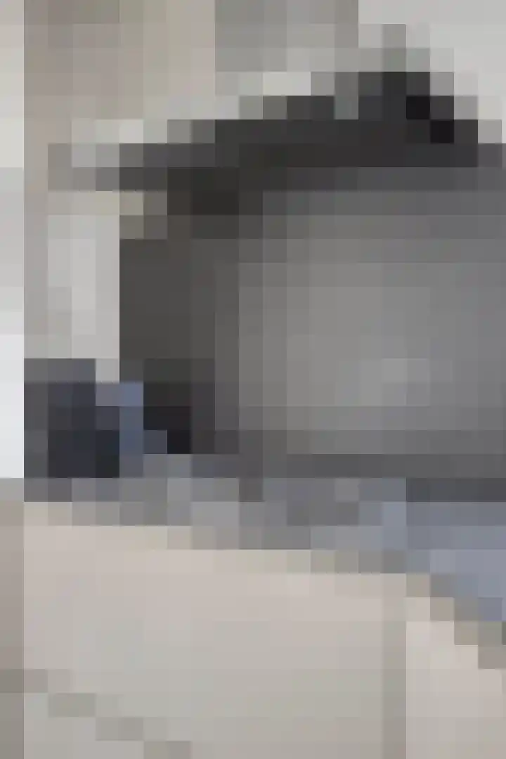 Stoelenmatter 64 Best thumbnail 19