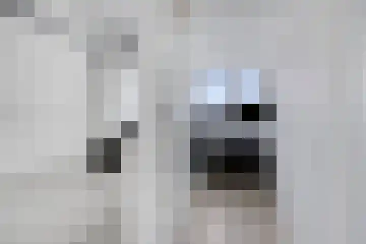 Stoelenmatter 64 Best thumbnail 33