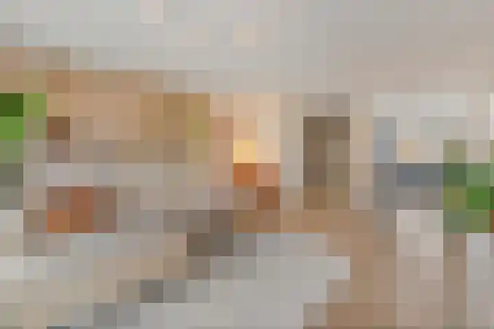Stoelenmatter 9 Hendrik-Ido-Ambacht thumbnail 11
