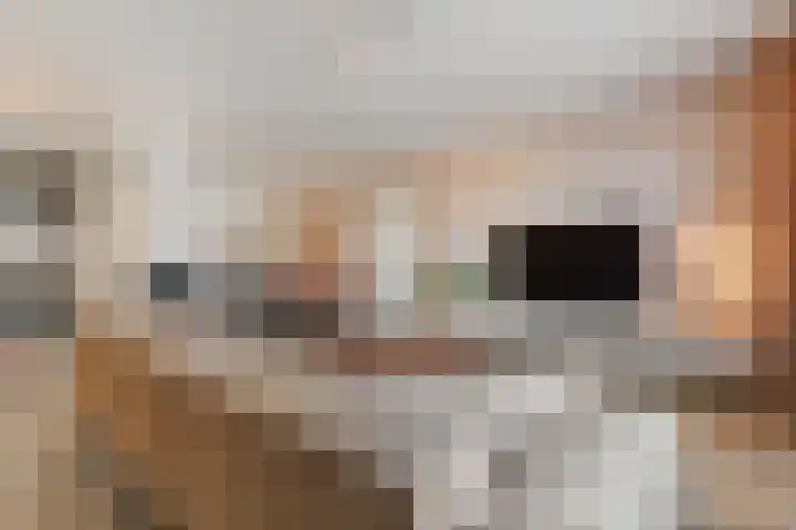Stoelenmatter 9 Hendrik-Ido-Ambacht thumbnail 14