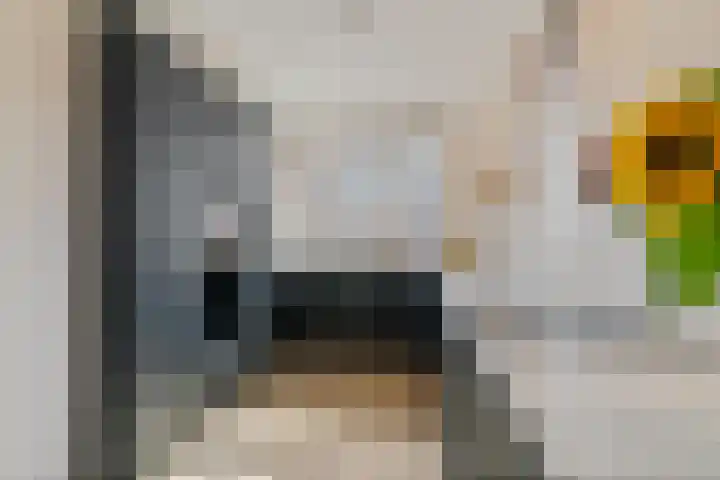 Stoelenmatter 9 Hendrik-Ido-Ambacht thumbnail 18