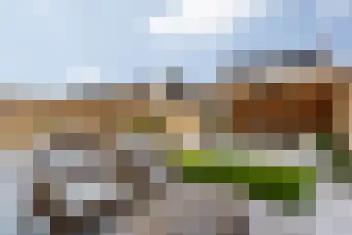 Stoelenmatter 9 Hendrik-Ido-Ambacht thumbnail 24