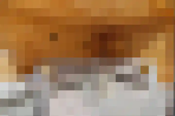 Stoelenmatter 9 Hendrik-Ido-Ambacht thumbnail 28