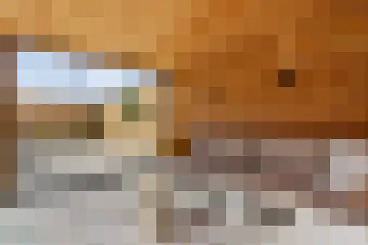 Stoelenmatter 9 Hendrik-Ido-Ambacht thumbnail 29