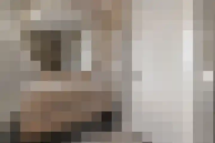 Stoelenmatter 9 Hendrik-Ido-Ambacht thumbnail 37
