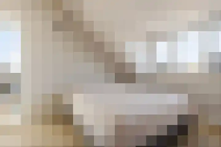 Stoelenmatter 9 Hendrik-Ido-Ambacht thumbnail 43