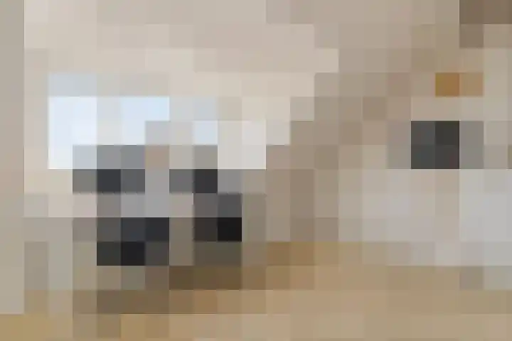 Stoelenmatter 9 Hendrik-Ido-Ambacht thumbnail 45