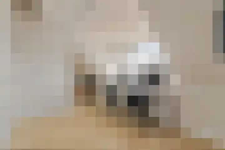 Stoelenmatter 9 Hendrik-Ido-Ambacht thumbnail 46