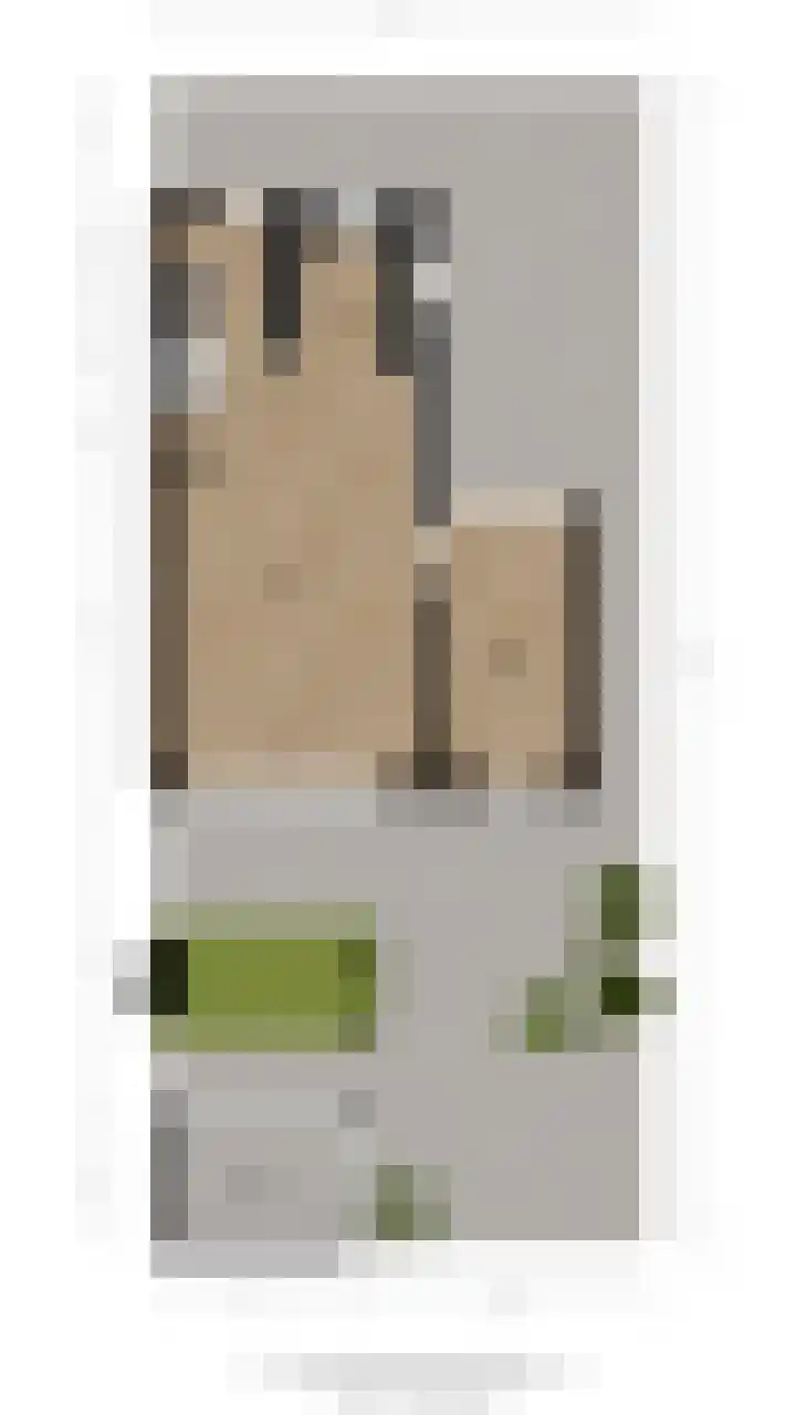 Stoelenmatter 9 Hendrik-Ido-Ambacht thumbnail 50