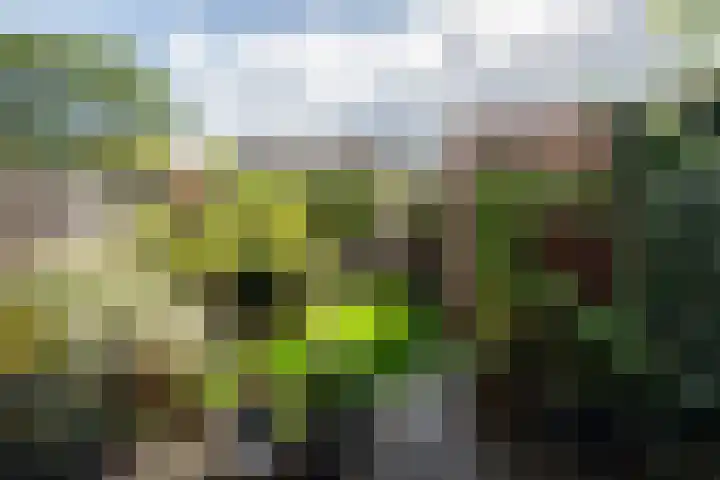 Stoelenmatterspad 17 Amsterdam thumbnail 4