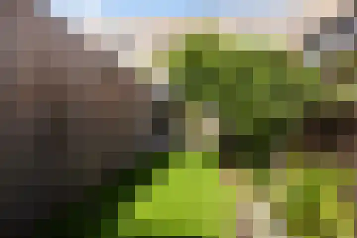 Stoelenmatterspad 17 Amsterdam thumbnail 5