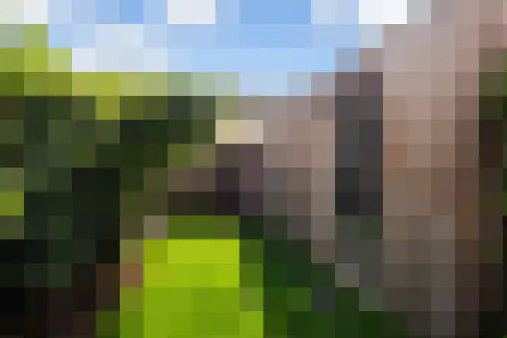 Stoelenmatterspad 17 Amsterdam thumbnail 6