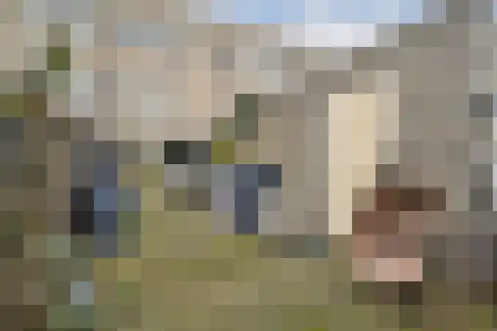 Stoelenmatterspad 18 Amsterdam thumbnail 12