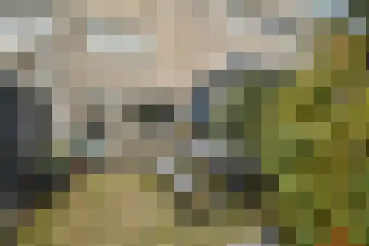Stoelenmatterspad 18 Amsterdam thumbnail 13
