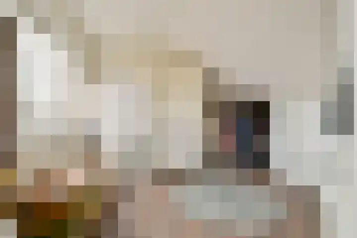 Stoelenmatterspad 18 Amsterdam thumbnail 23