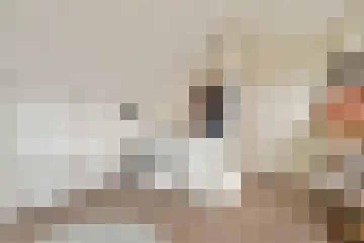 Stoelenmatterspad 18 Amsterdam thumbnail 24