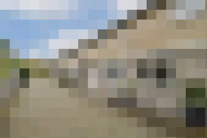 Stoelenmatterspad 18 Amsterdam thumbnail 26
