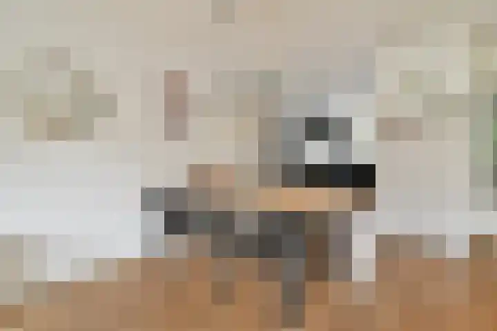 Stoelenmatterspad 18 Amsterdam thumbnail 8