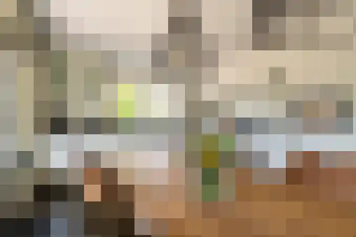 Stoep 1 Rijswijk (NB) thumbnail 14