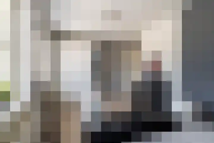 Stoep 1 Rijswijk (NB) thumbnail 24