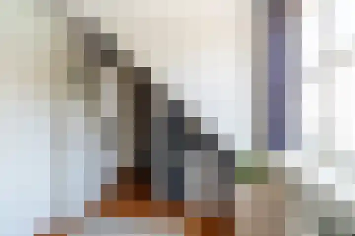 Stoep 1 Rijswijk (NB) thumbnail 27