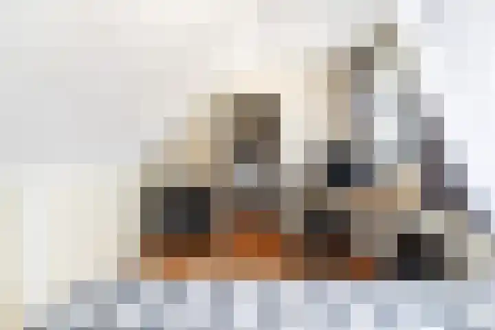 Stoep 1 Rijswijk (NB) thumbnail 29