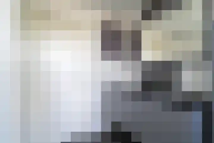 Stoep 1 Rijswijk (NB) thumbnail 31