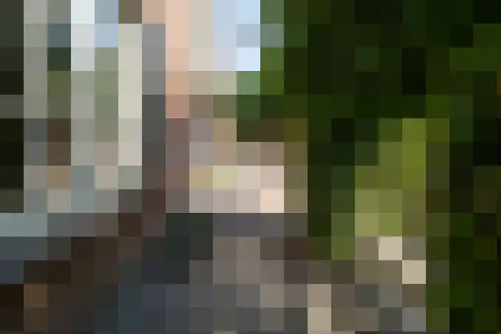 Stoep 1 Rijswijk (NB) thumbnail 36