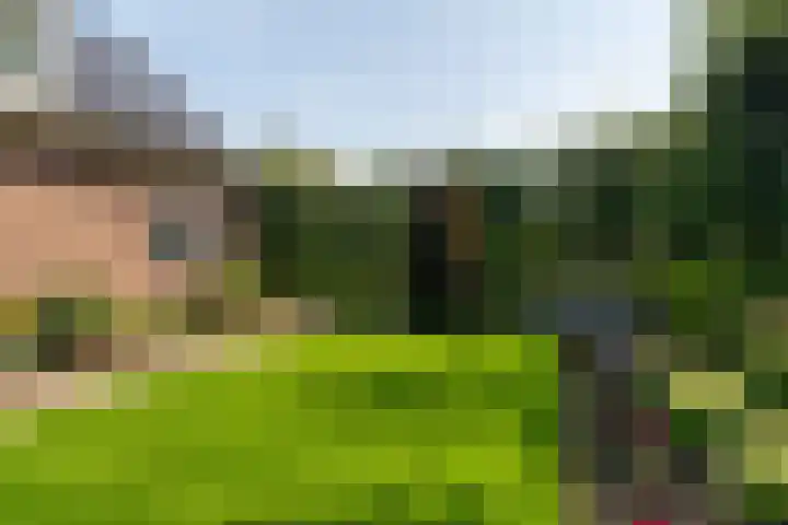 Stoep 1 Rijswijk (NB) thumbnail 37