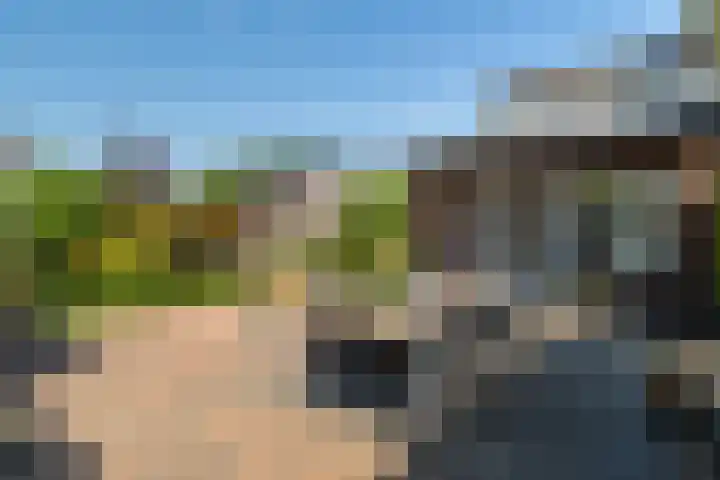 Stoep 1 Rijswijk (NB) thumbnail 40